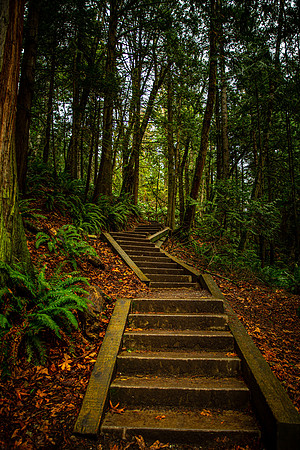 Bellingham, WA
