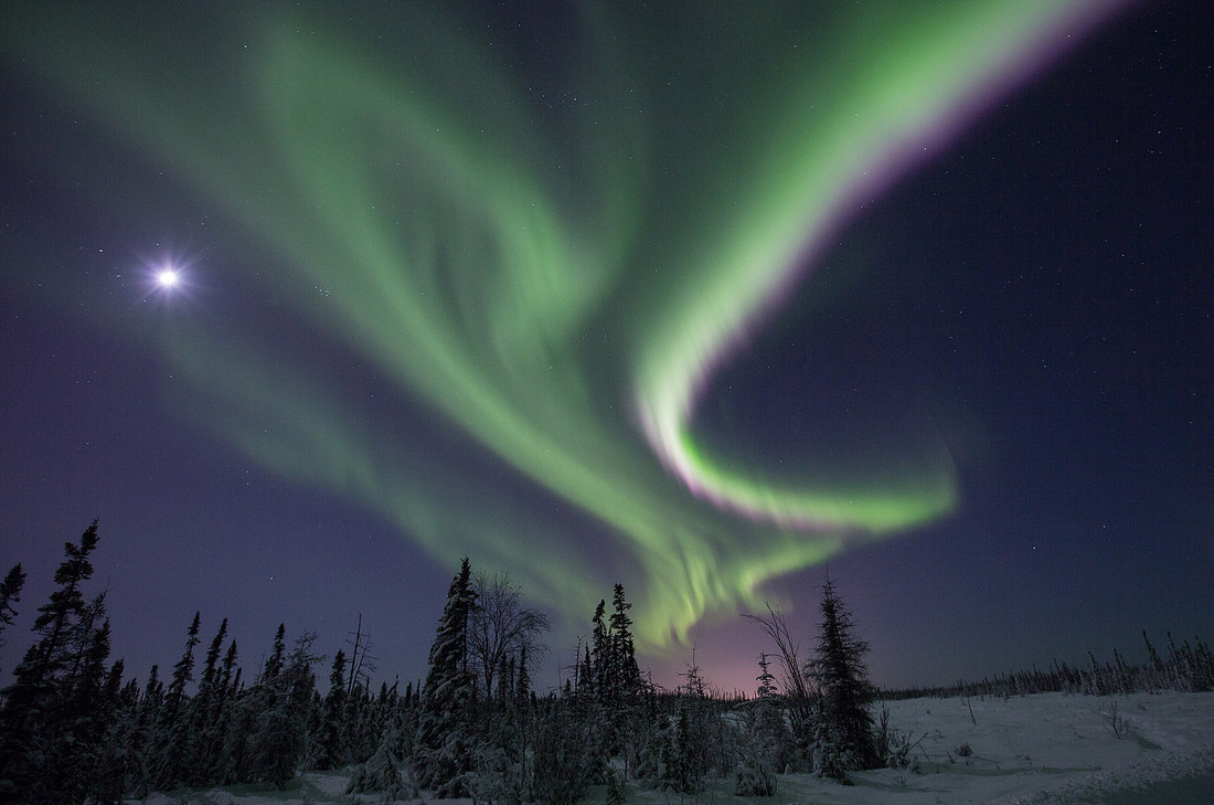 Moonlit Aurora