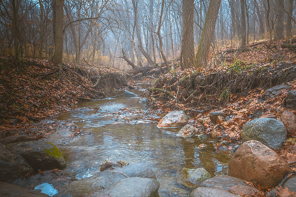 Gentle Creek