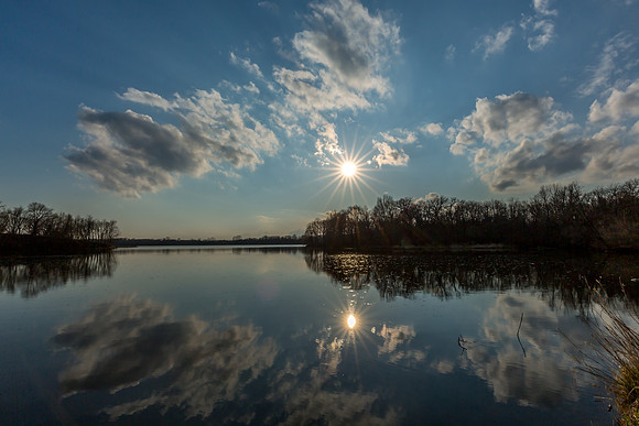 A Sunny Reflection